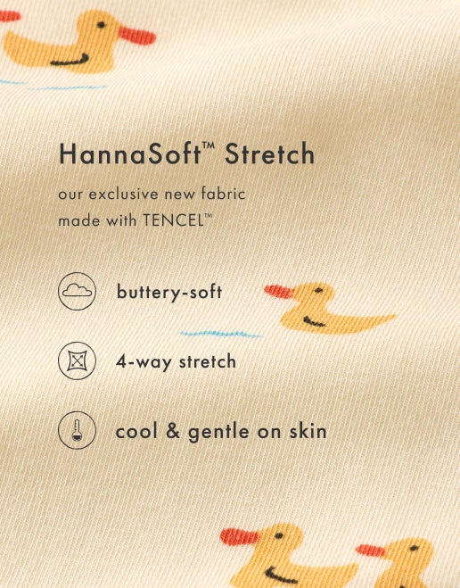 HannaSoft