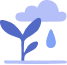 A rain cloud watering a young plant