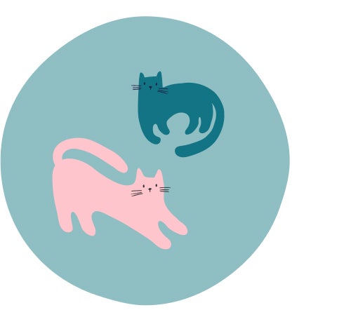 Cats Print